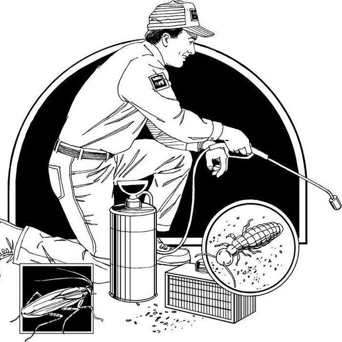 Помощь с паразитами