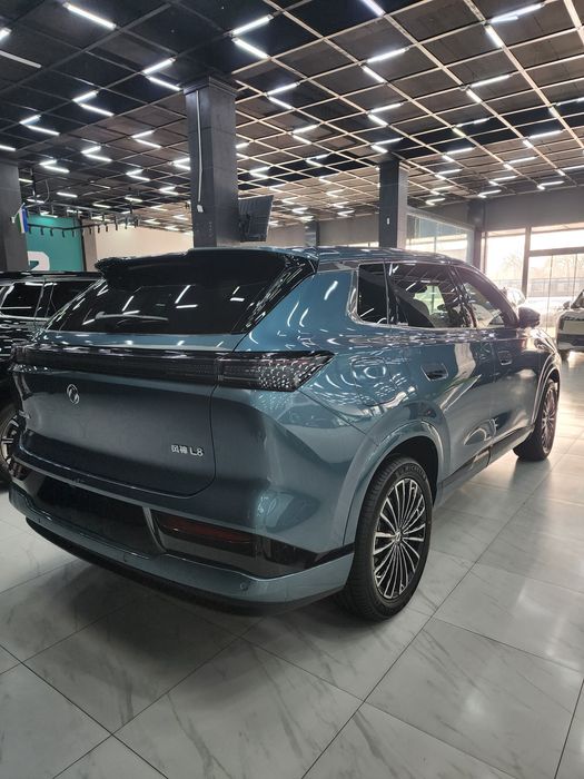 Domg feng L8 185 plus