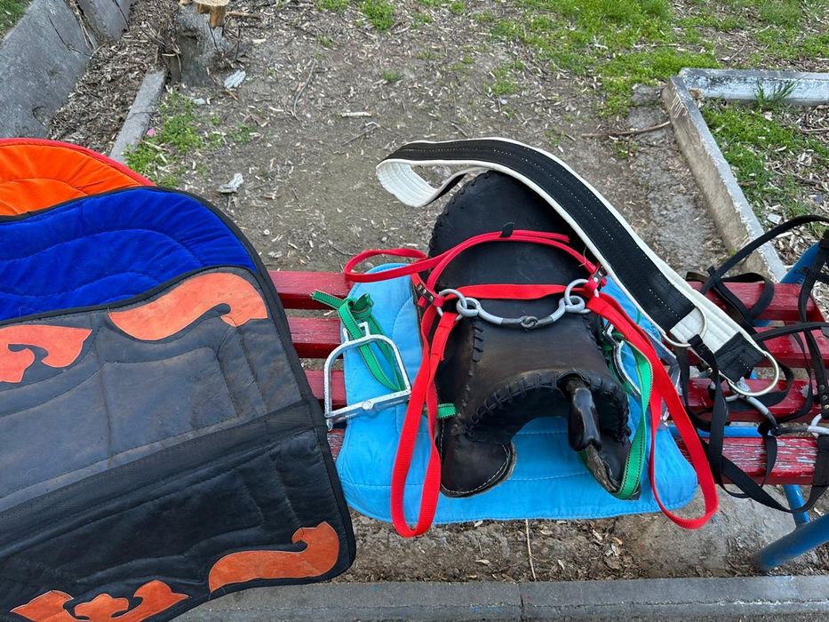 Ер-тұрман жиынтығы