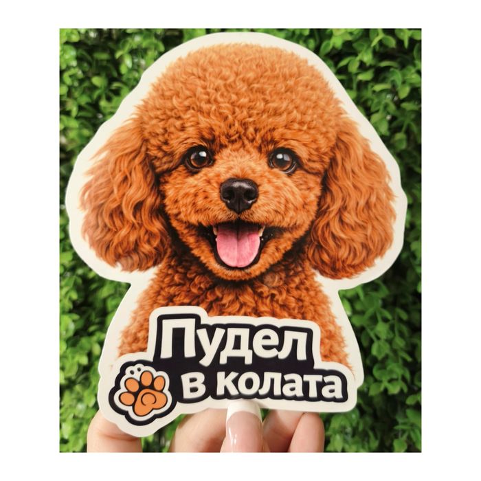 Стикери за кола - куче/котка в колата - различни породи, UV защита