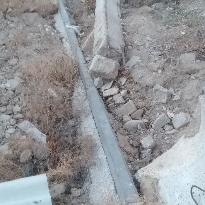 Блужник бетондар