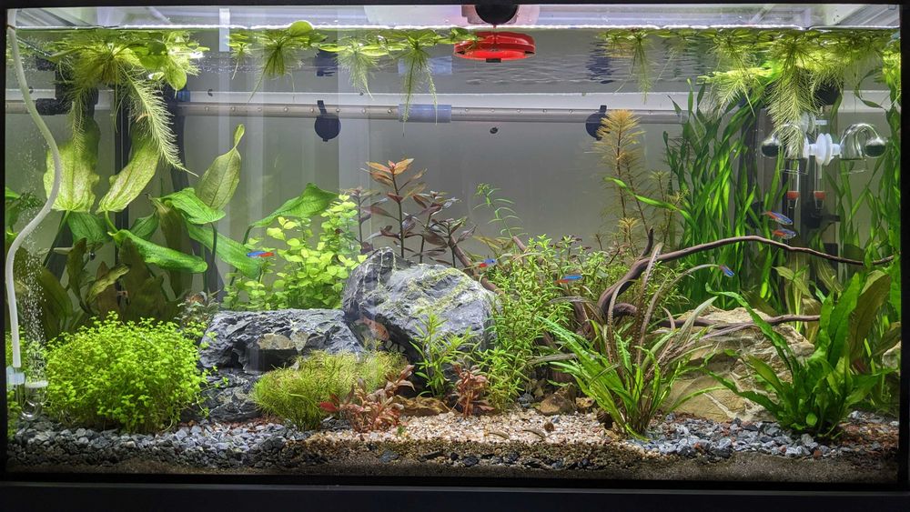 1 бр. LED осветление Eheim Light Classic 74 см