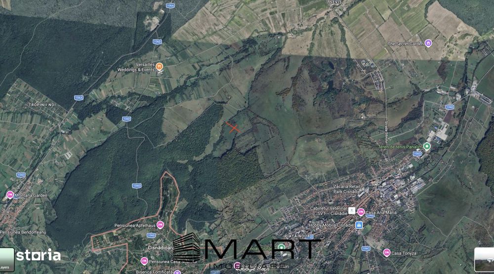 Teren extravilan agricol + fanata 21000mp Cisnadie