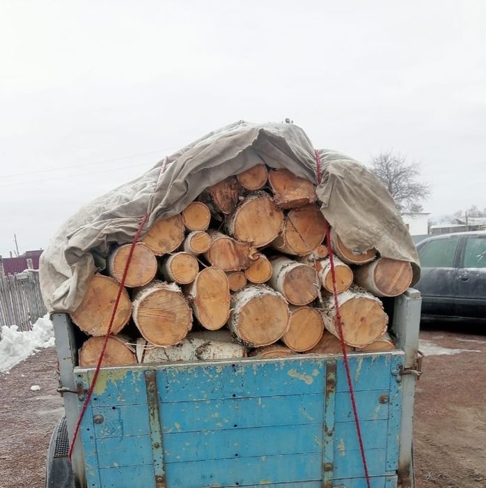 Продам дрова,берёза.