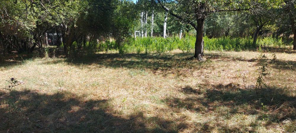 Продава се Парцел в Перник, Църква - 1440 кв.м за 46 €/кв.м - Снимка #19