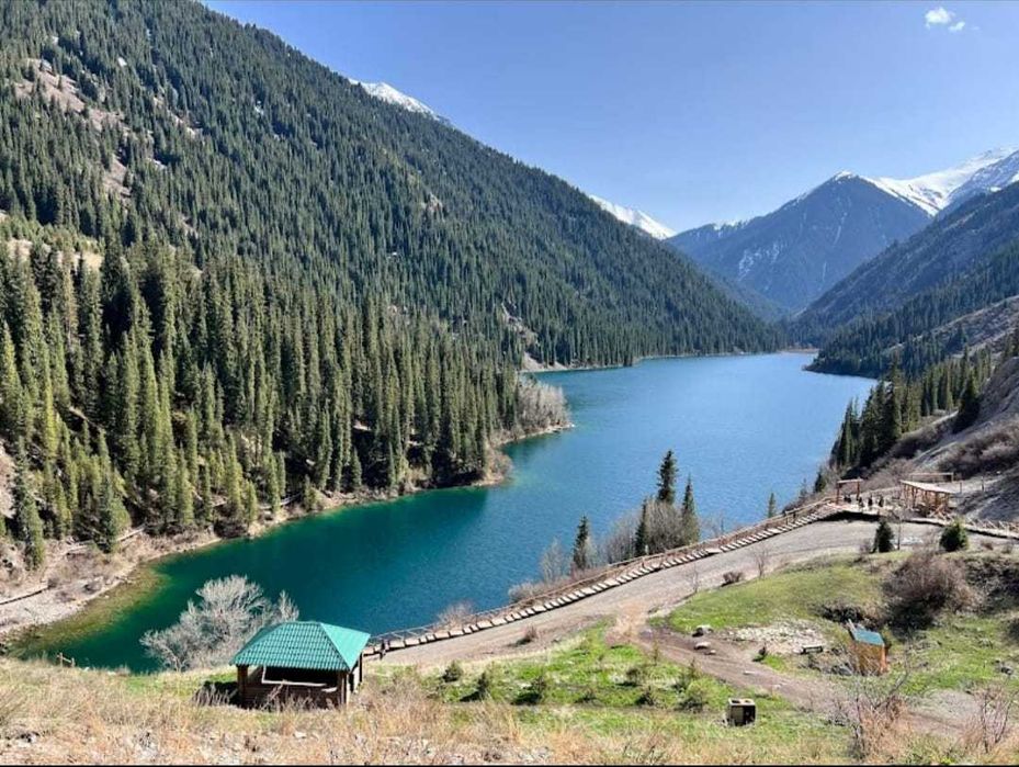 Кольсай, Чарын такси