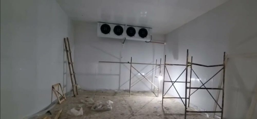 Muzxona                 .