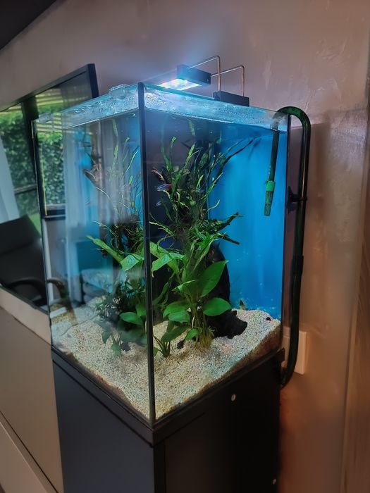 Acvariu nano  cub
