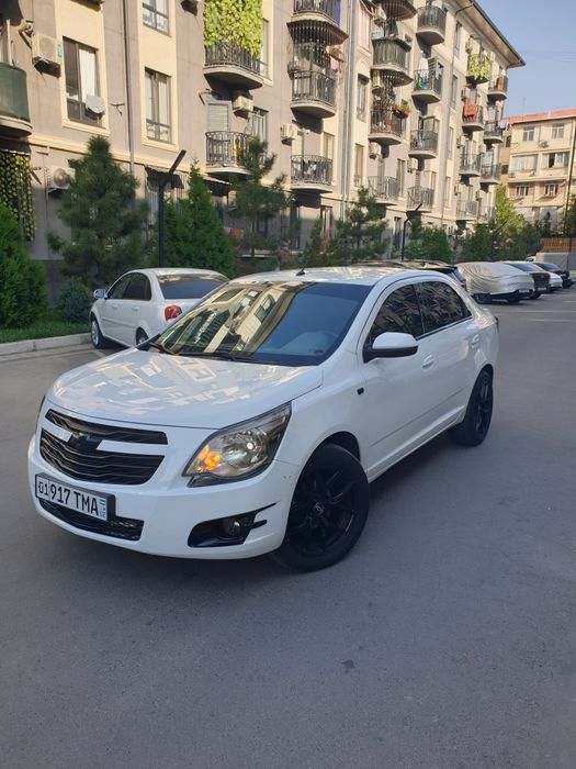 Cobolt 2024 Tozza