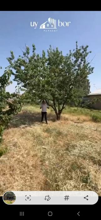 Участок без строительства