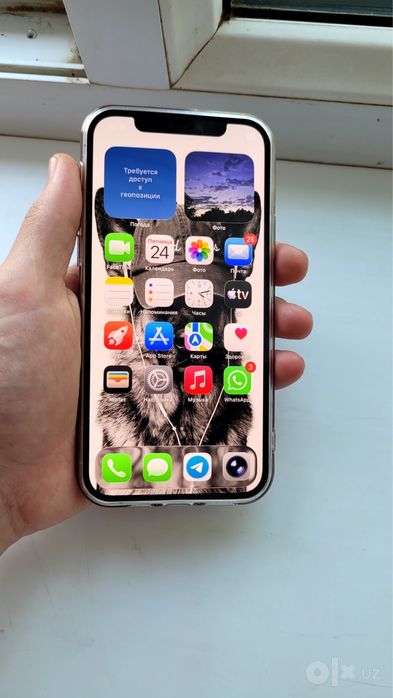 Radnoy iPhone 12 Pro 128Gb