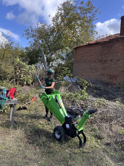 Рязане на дървета, санитарна сеч, дробене на клони, извозване