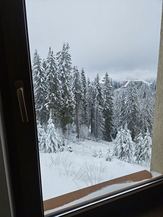 Дава се под наем Едностаен апартамент в к.к. Пампорово - 30 кв.м за 298.86 € - Снимка #9