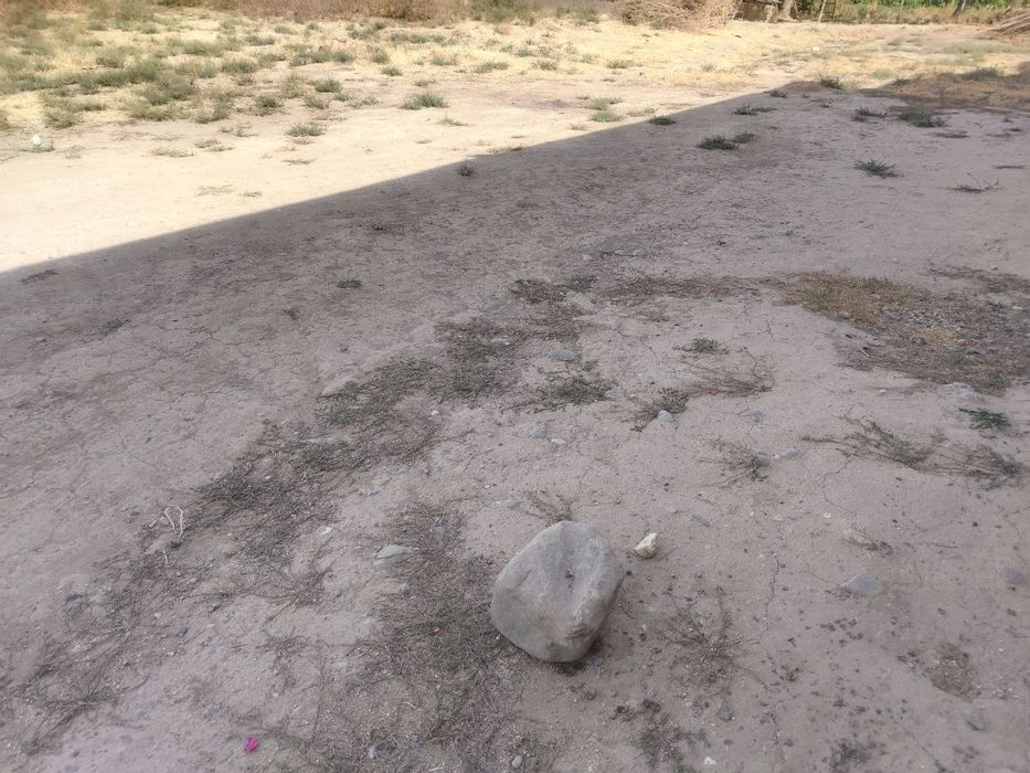 Yer sotiladi 10 sotix