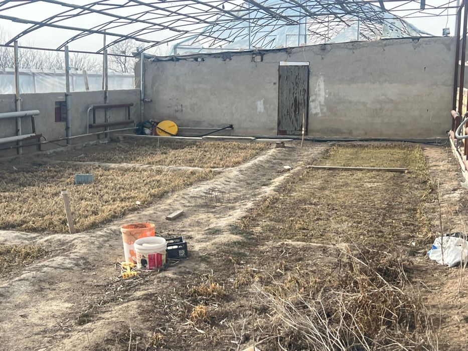 Аренда теплицы в Балауса