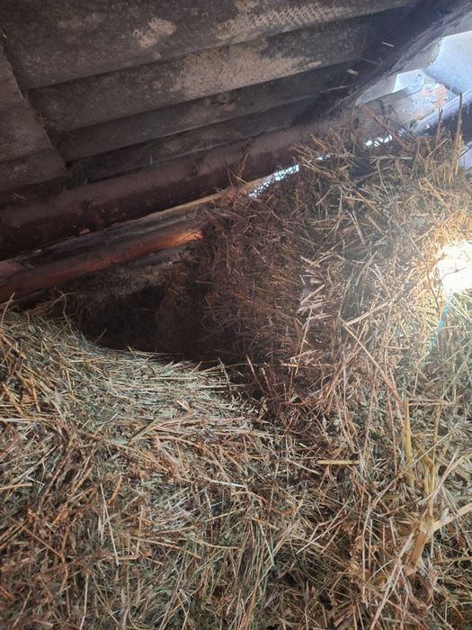 Vind baloti de paie, ciocani ,lucernă .