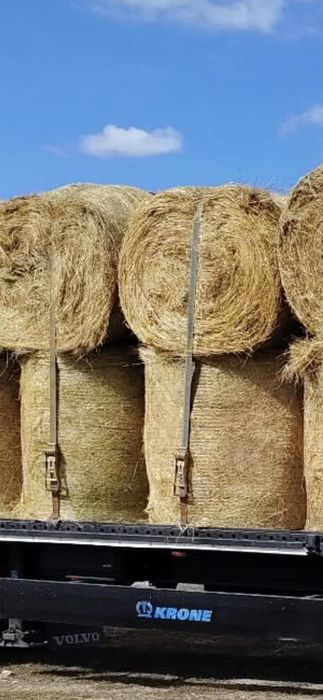Baloti fan sau Lucerna Rotunzi 1,2 m x 1,2 m Transport inclus RO HU