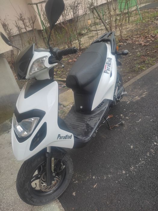 Generic Paradis de 49cm