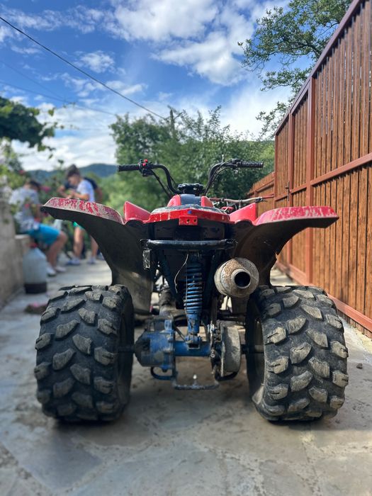 Atv bashan bs200