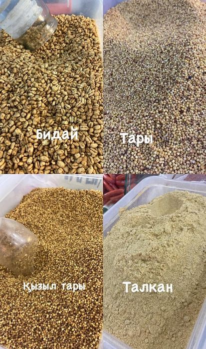 Сүт өнімдері тары халва құрт иримшик