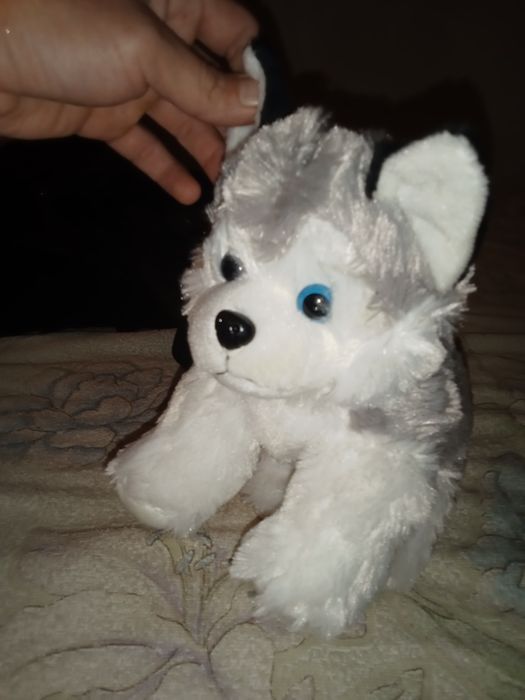 Детские принадлежности недорого