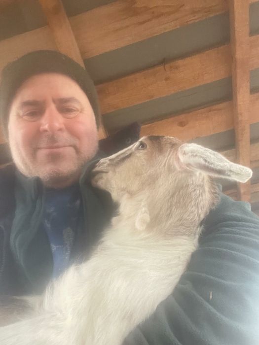 Vand iezi 25 lei,negociabil