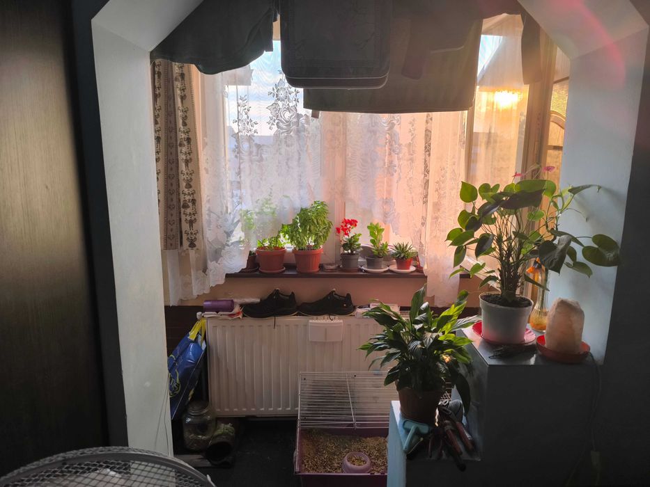 Vand garsonieră Calea Moldovei 12