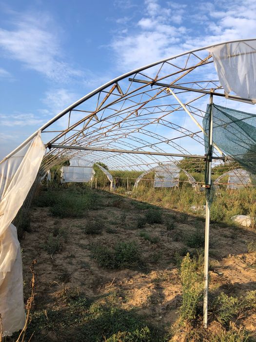 Продавам оранжерии