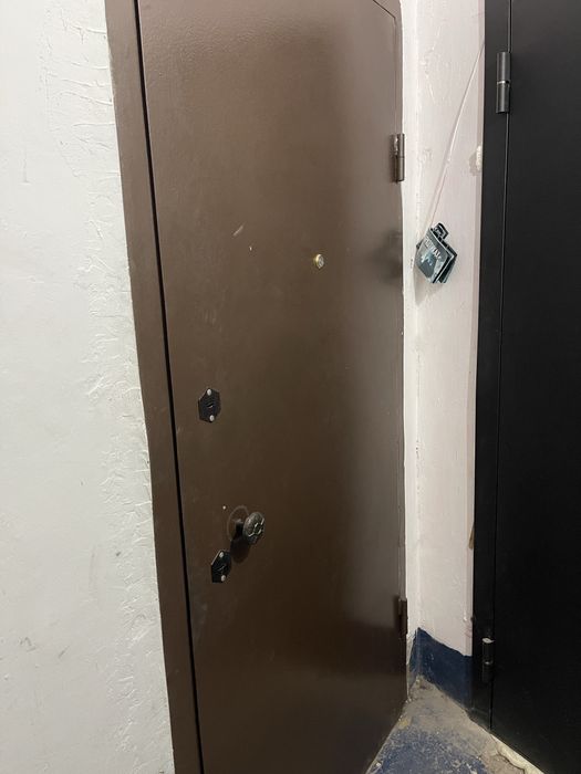 Металлическая дверь