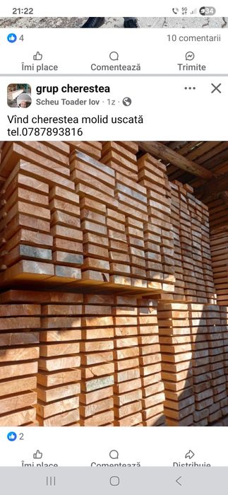 Cherestea BRAD ,FRASIN, tei ,stejar, cireș Căsute lemn cabane USCATOR