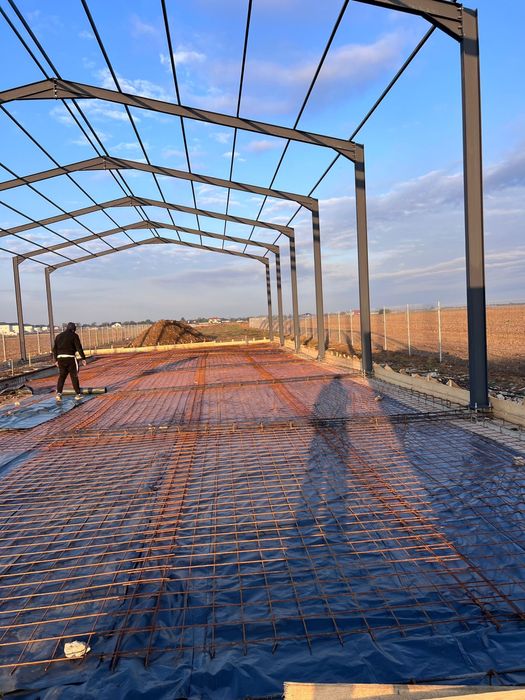 Executam hale metalice