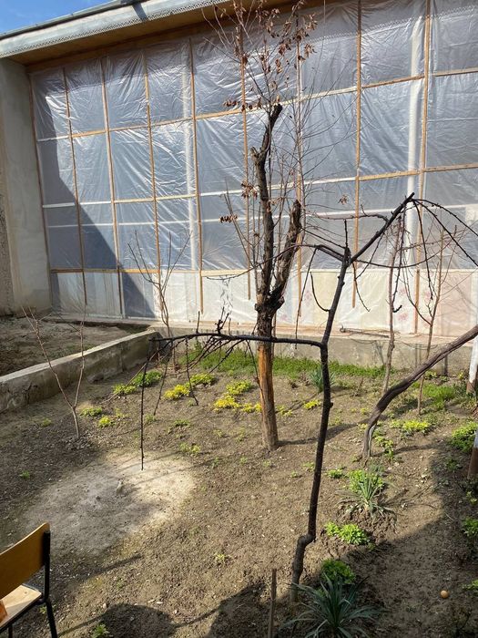 Сотилади 4 соток полтора этажка