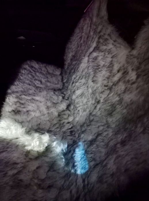 Чехлы на сиденья меховые