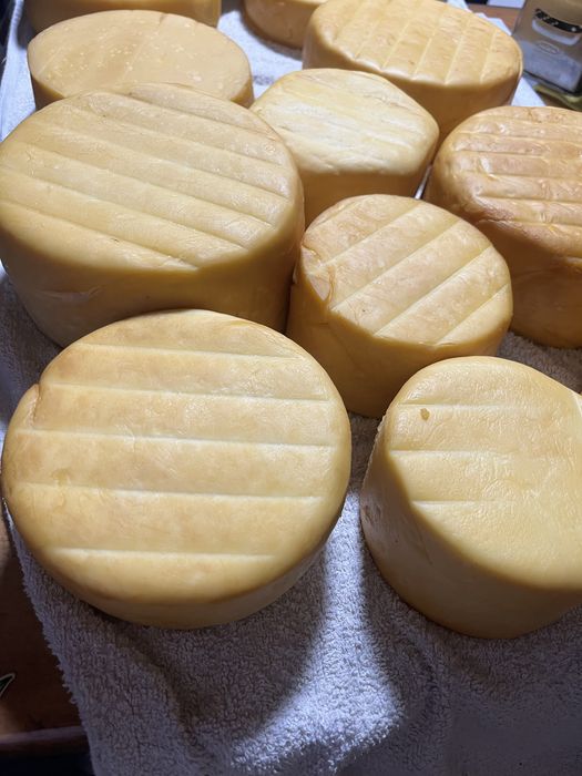 Cascaval,Branza de vanzare