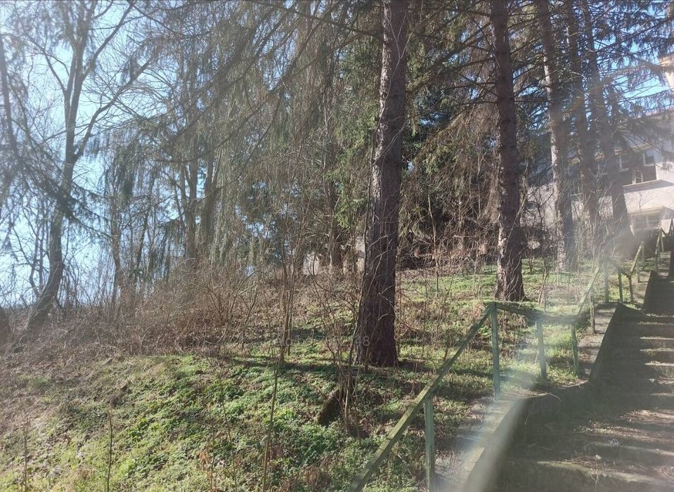 Продава се Парцел в с. Балкански, Област Разград - 5000 кв.м за 11 €/кв.м - Снимка #8