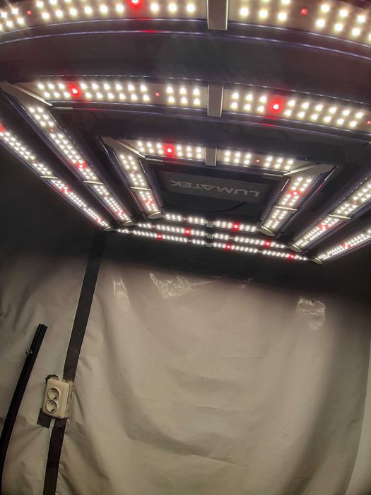 LUMATEK ATS300W PRO 2,7umol/j led grow light
