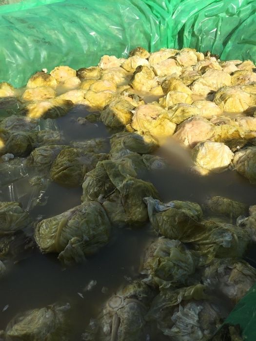 Varza murata romaneasca calitatea1 la nevoie asigur si transport