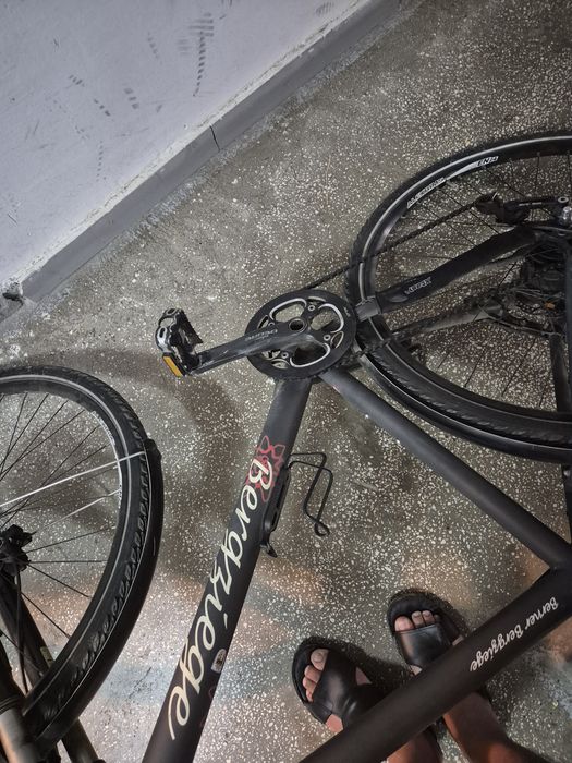 Bicicleta Berner Bergziege - Alfine11