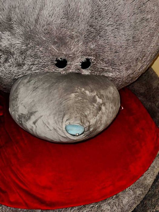 Yangi ayiqcha (sovg'aga)