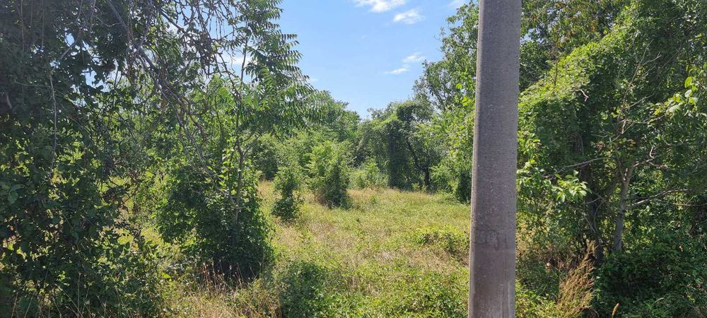 556-Продава се парцел с площ от 800 кв.м. в местността "Обзор"