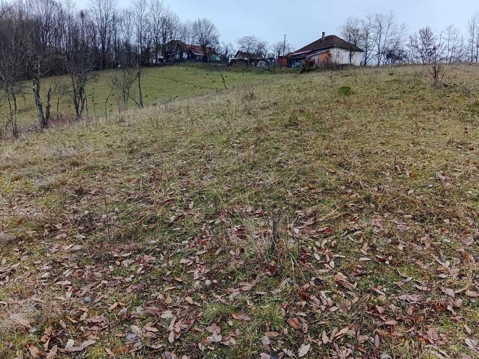 Teren Extravilan 10528mp Luncoiu de Sus, Acces Auto, Sursa Apa, Curent