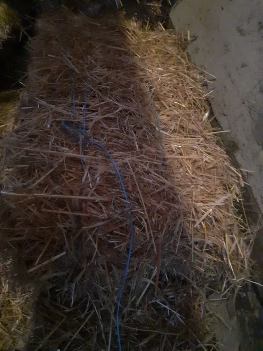 Vând baloti de paie