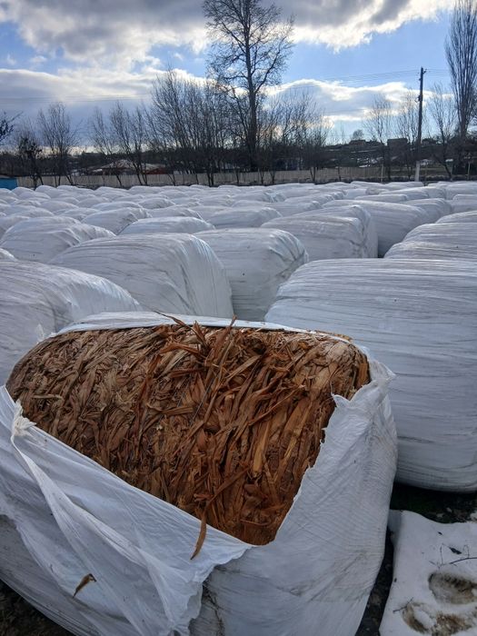 Vând baloti infoliati