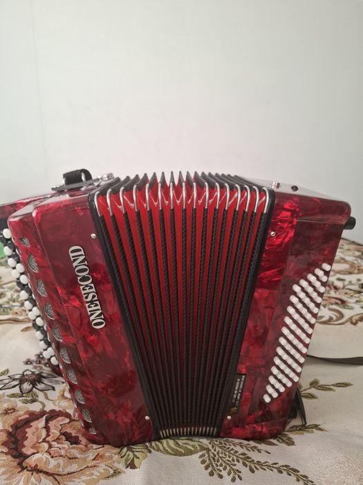 Баян инстурмент...