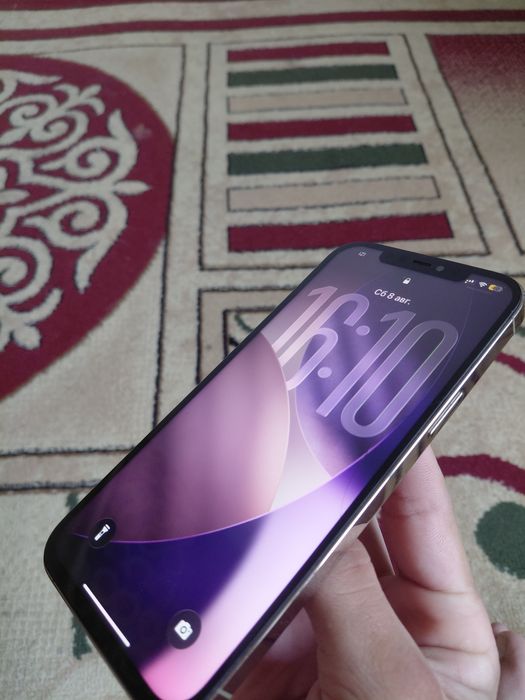 Iphone 12 pro max