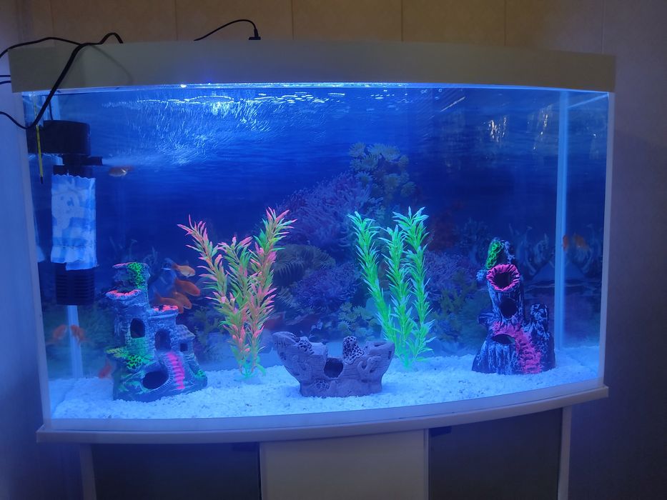 Продаем аквариум