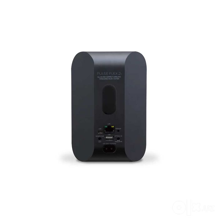 Bluesound Pulse Flex 2i . Беспроводная Hi-Fi-акустика
