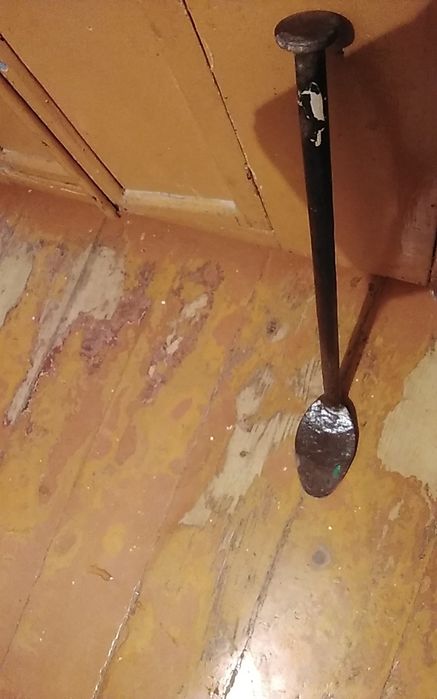 Сапожник лапа железо.