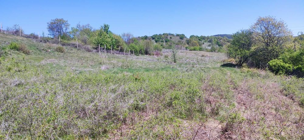 Продава се Земеделски имот в с. Соколяне, Област Кърджали -  кв.м за 510 €/дка - Снимка #3