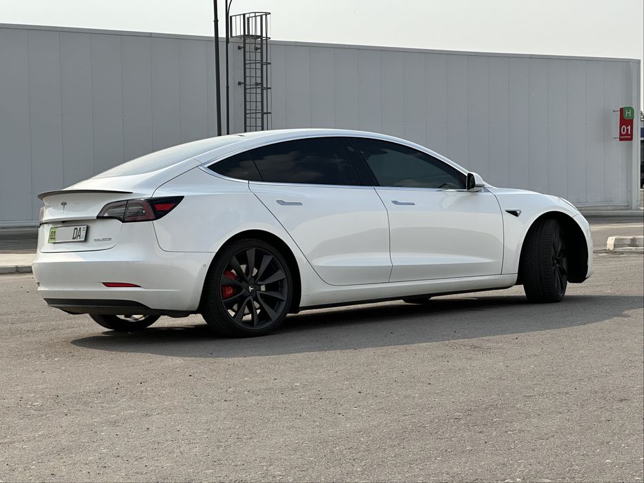 Tesla Model 3 Perfomance